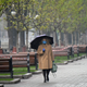 Image for article titled Weather Now Wholly Governs My Mental State